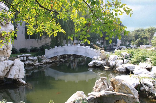 中職高職學校 中職高職學校