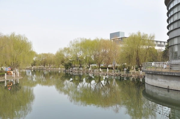 中職高職學(xué)校 中職高職學(xué)校