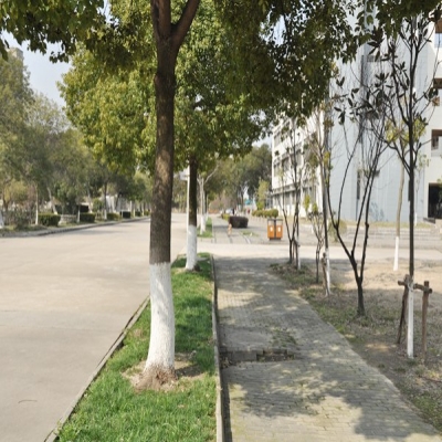 昆山登云科技職業學院獨特優勢有哪些